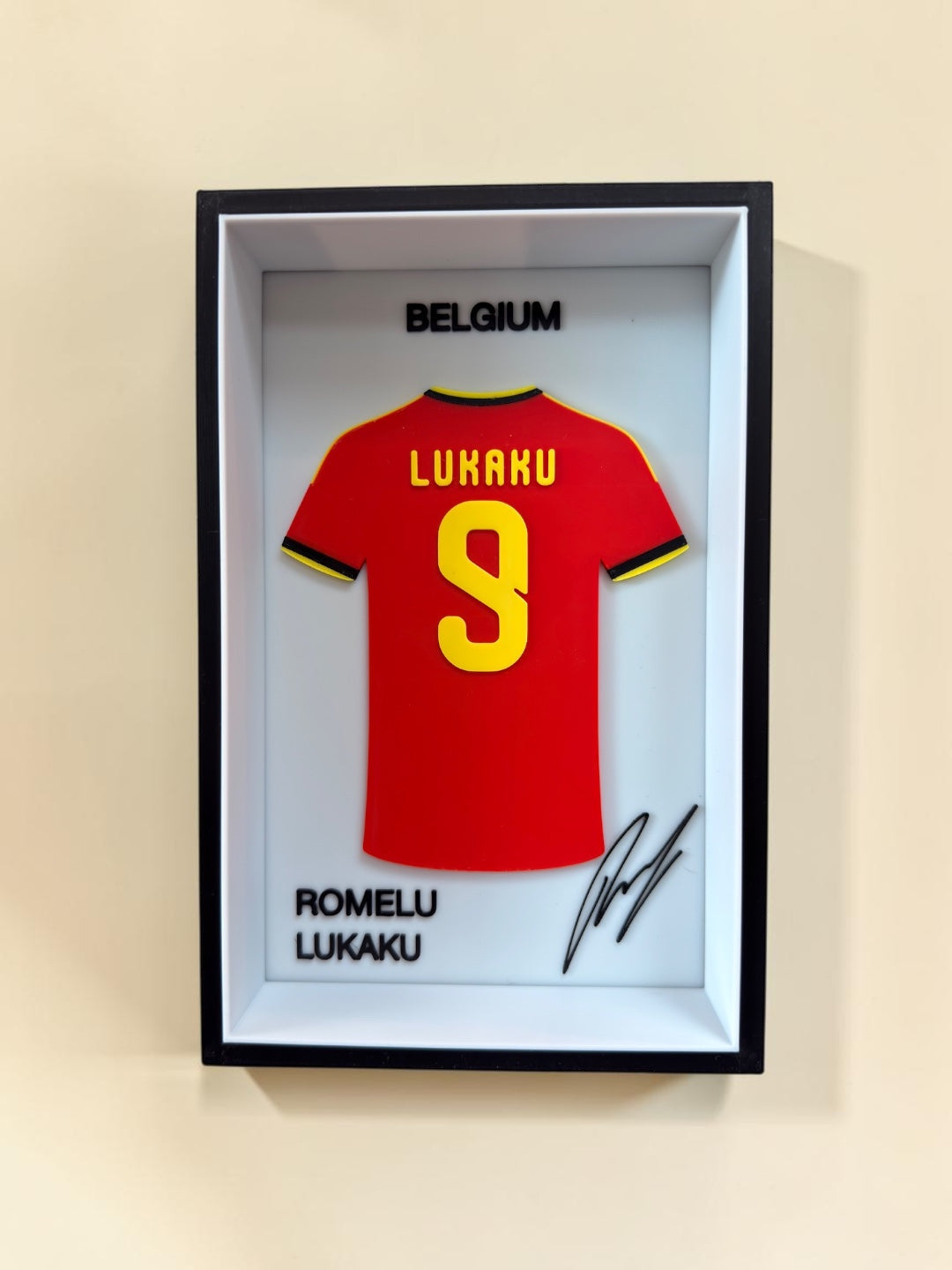 Romelu Lukaku - Belgique