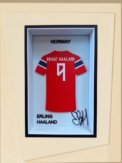 Erling Haaland - Norvège