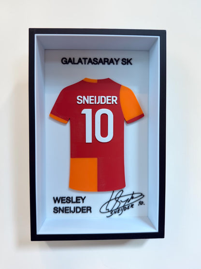Wesley Sneijder - Galatasaray