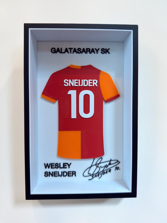 Wesley Sneijder - Galatasaray