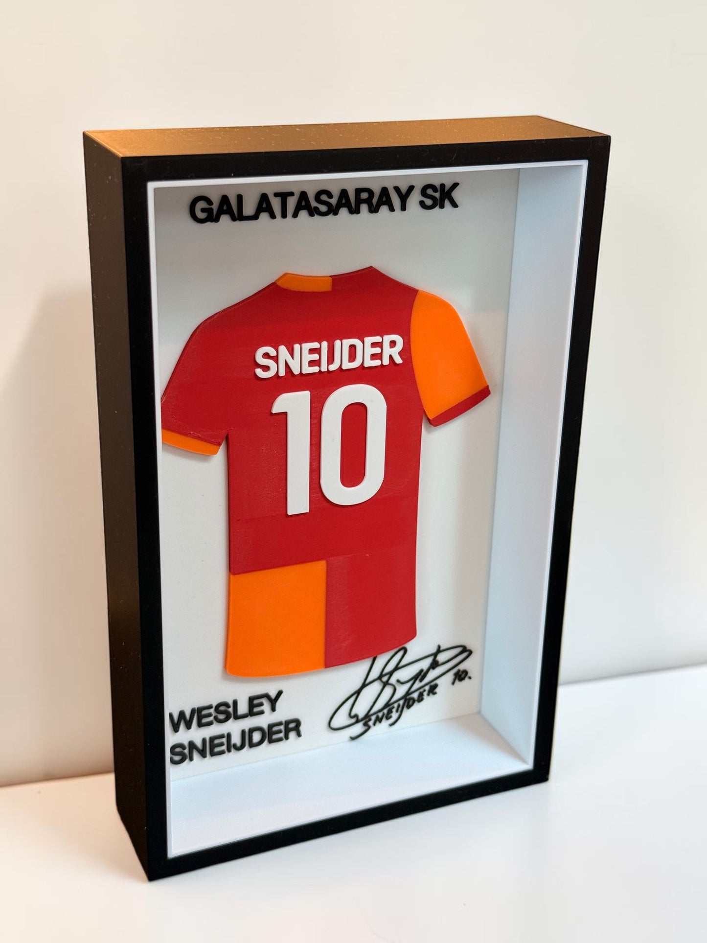 Wesley Sneijder - Galatasaray