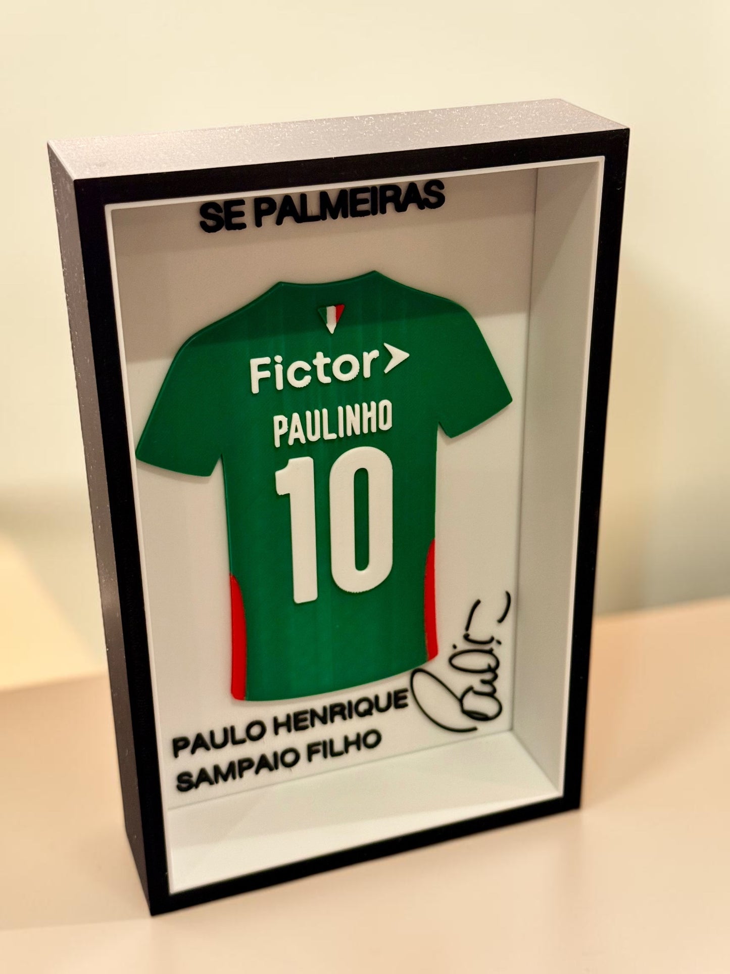 Paulinho - Se Palmeiras