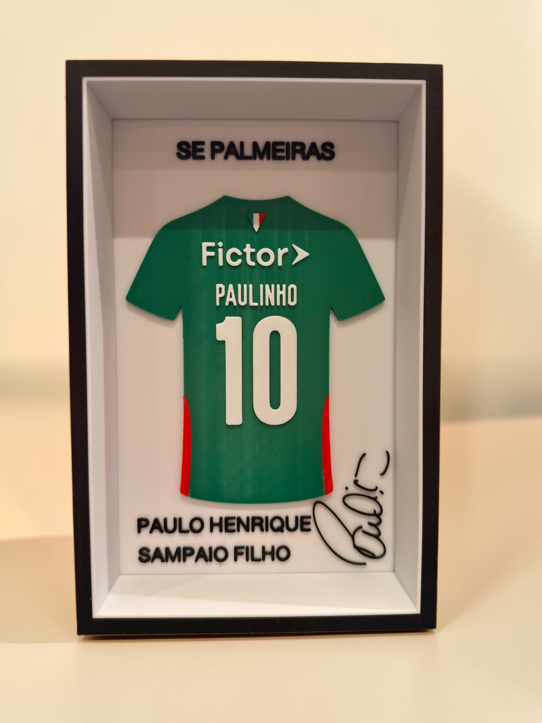 Paulinho - Se Palmeiras